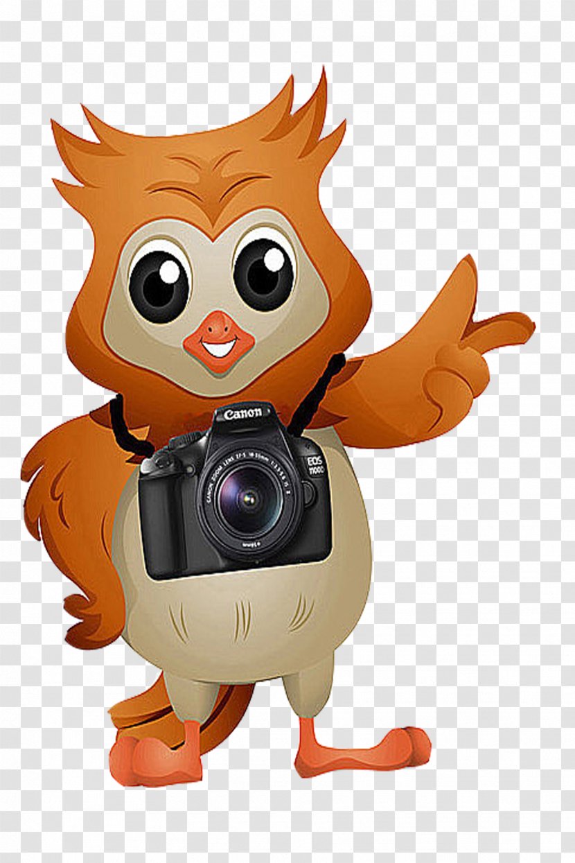 Stock Photography Camera Royalty-free Clip Art - Vertebrate - Owl Transparent PNG