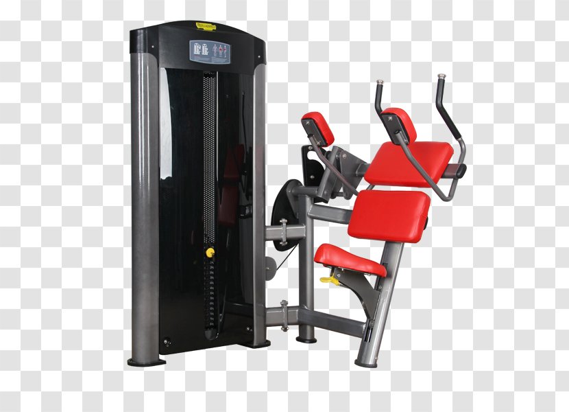 Fitness Centre Crunch Exercise Equipment Abdominal - Treadmill - Physical Strength Transparent PNG