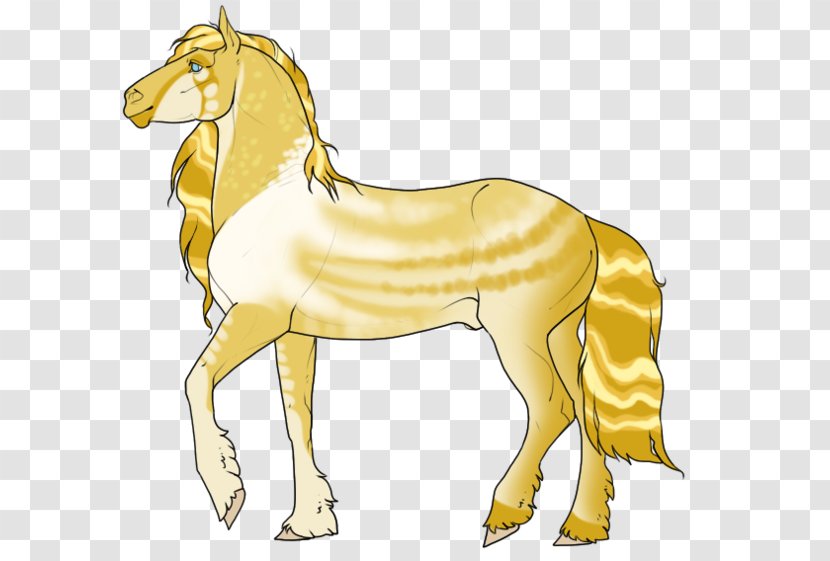 Foal Mustang Mane Stallion Pony Transparent PNG