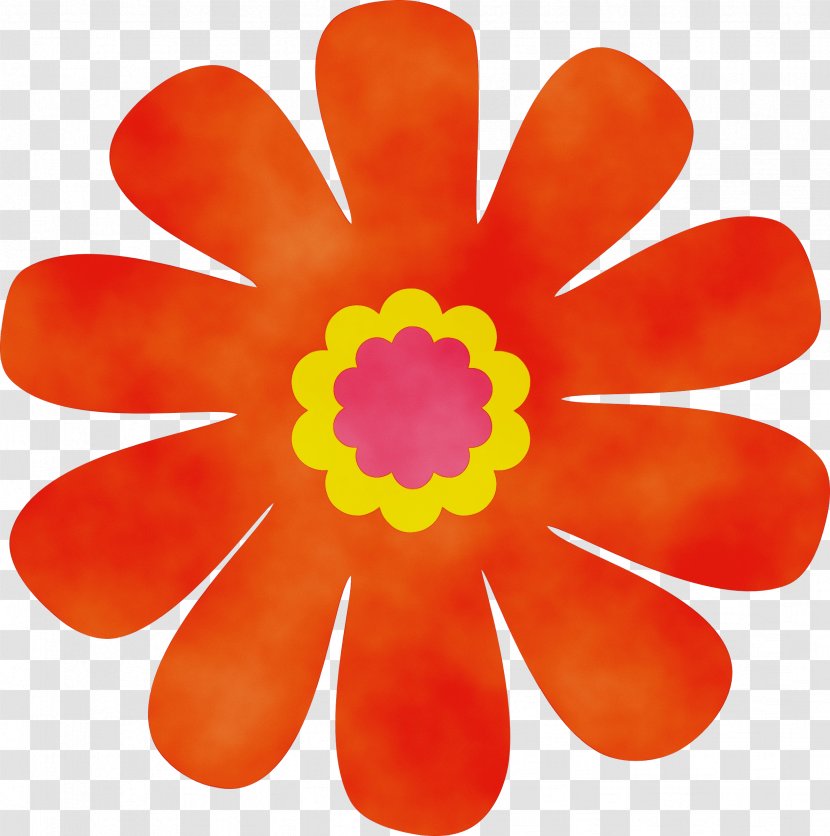 Orange - Gerbera - Plant Transparent PNG