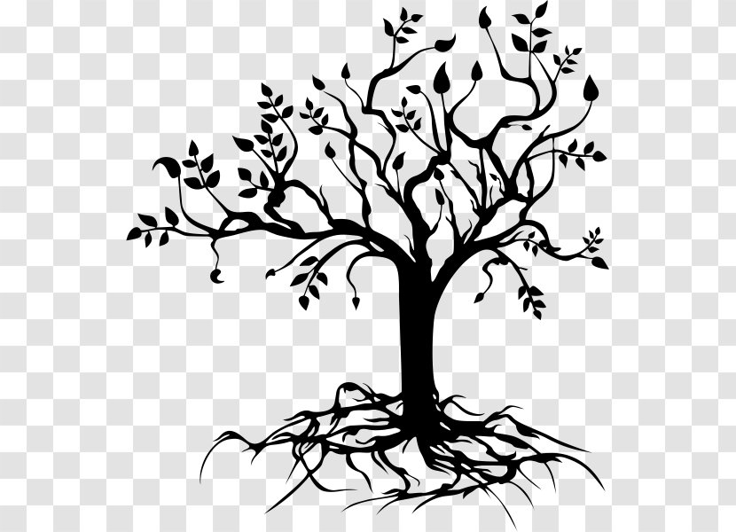 Drawing Tree Of Life - Beak Transparent PNG