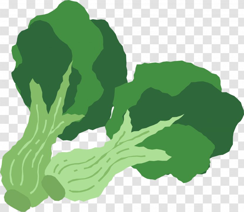Broccoli Leaf Vegetable Food - Hand Painted Green Transparent PNG