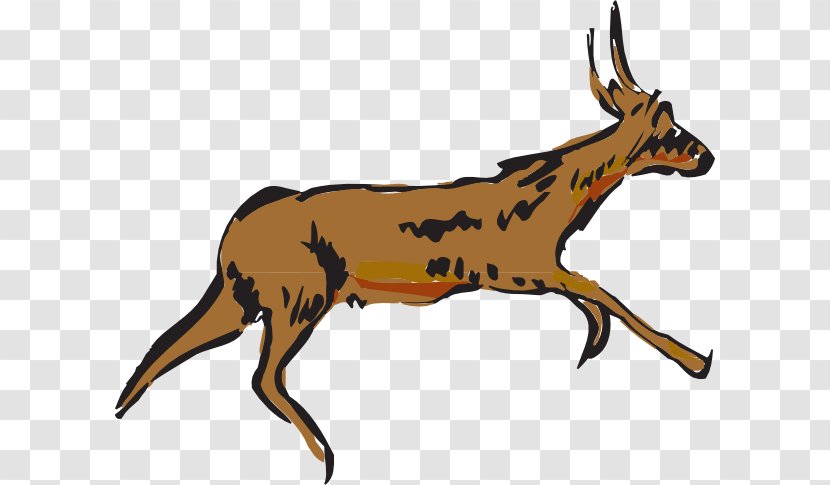 Antelope Pronghorn Deer Clip Art - Cliparts Transparent PNG