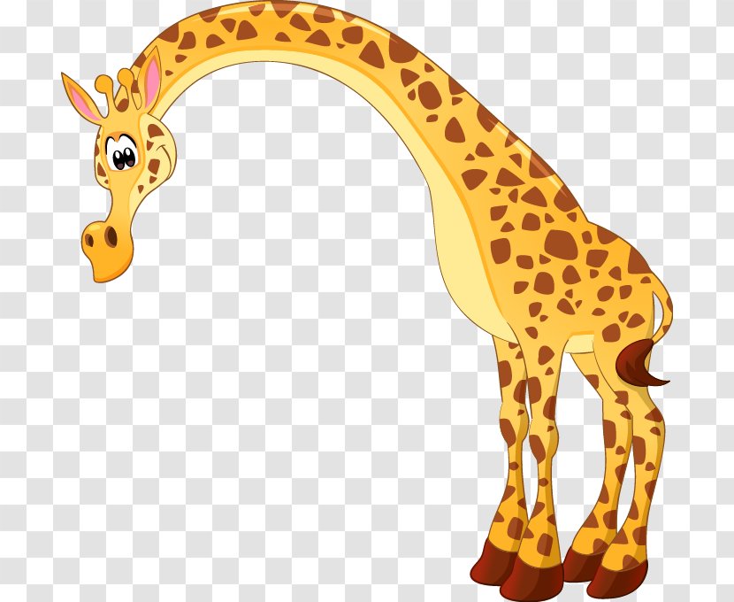 Northern Giraffe Drawing Painting - Animal - Vector Cartoon Cute Transparent PNG