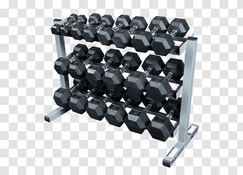 Powerline PDR282XRFWS Dumbbell Rack With Rubber Dumbbells Weight Training Body Solid Dual Swivel T Bar Row Platform Exercise - Cartoon Transparent PNG