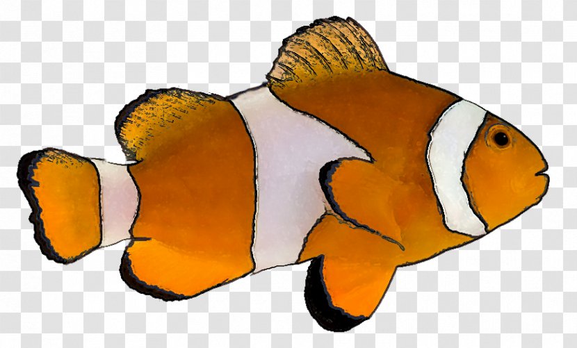 Tropical Fish Goldfish Clip Art - Organism - Cliparts Transparent PNG