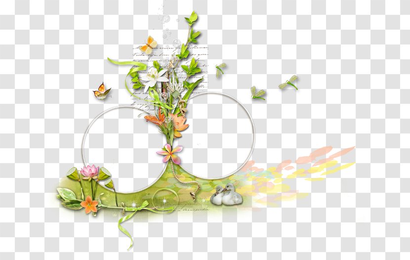 Most - Plant - Flower Transparent PNG