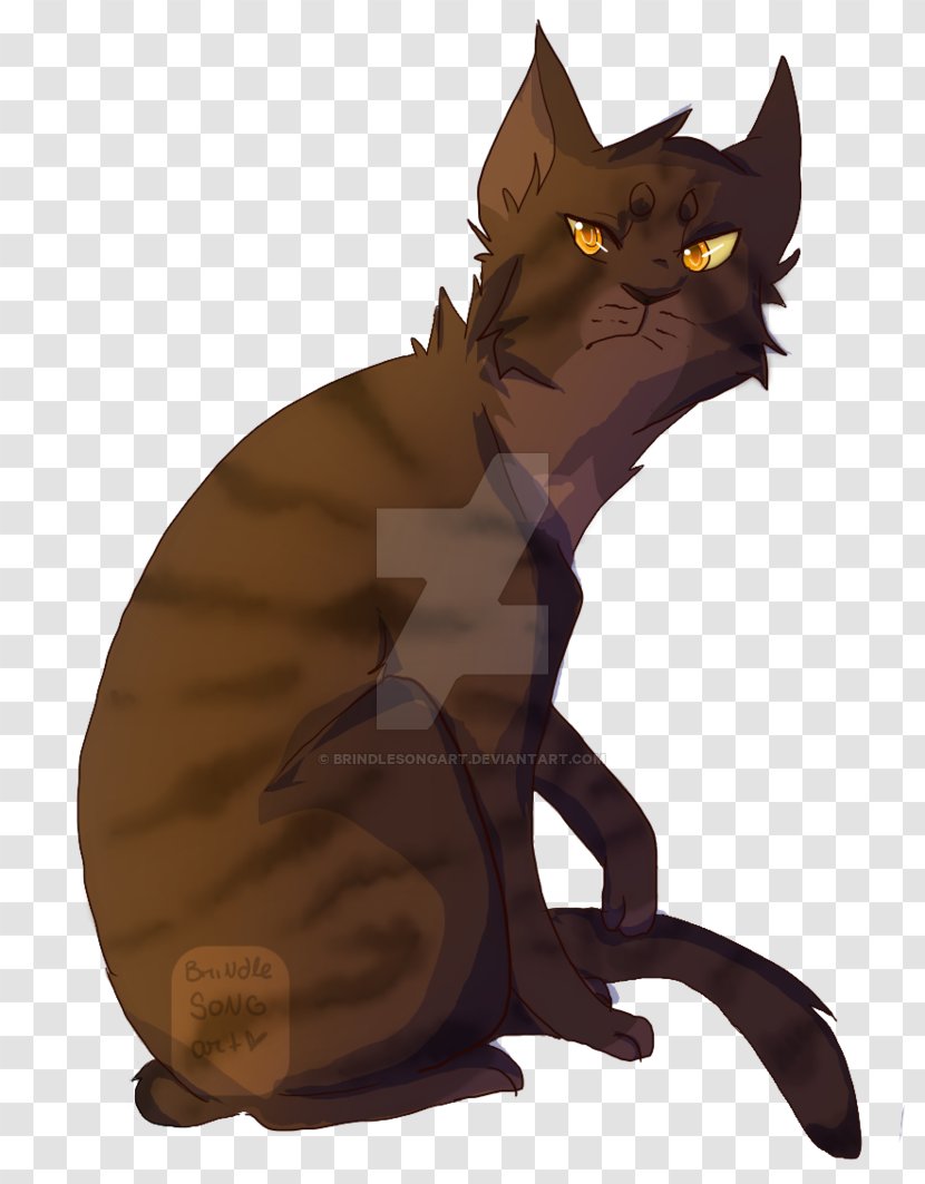 Whiskers Kitten Tabby Cat Domestic Short-haired Black - Jayfeather Transparent PNG