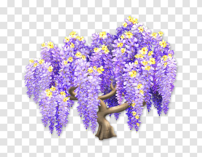 Hay Day Wiki English Lavender Plant - Flower - Wisteria Transparent PNG