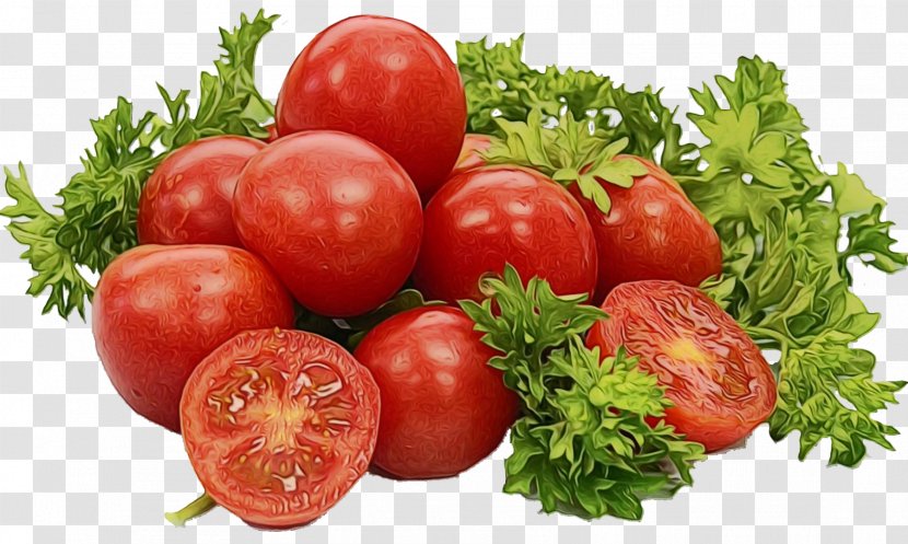 Tomato - Food - Fruit Plant Transparent PNG