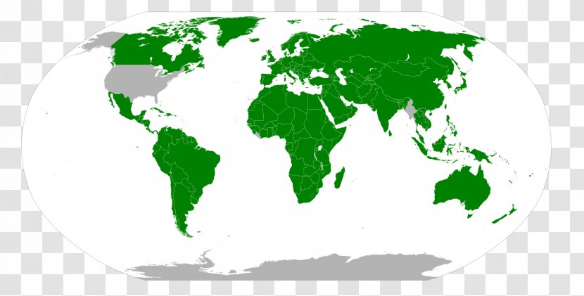 Metric System Units Of Measurement International US Customary - Globe - Ferret Transparent PNG