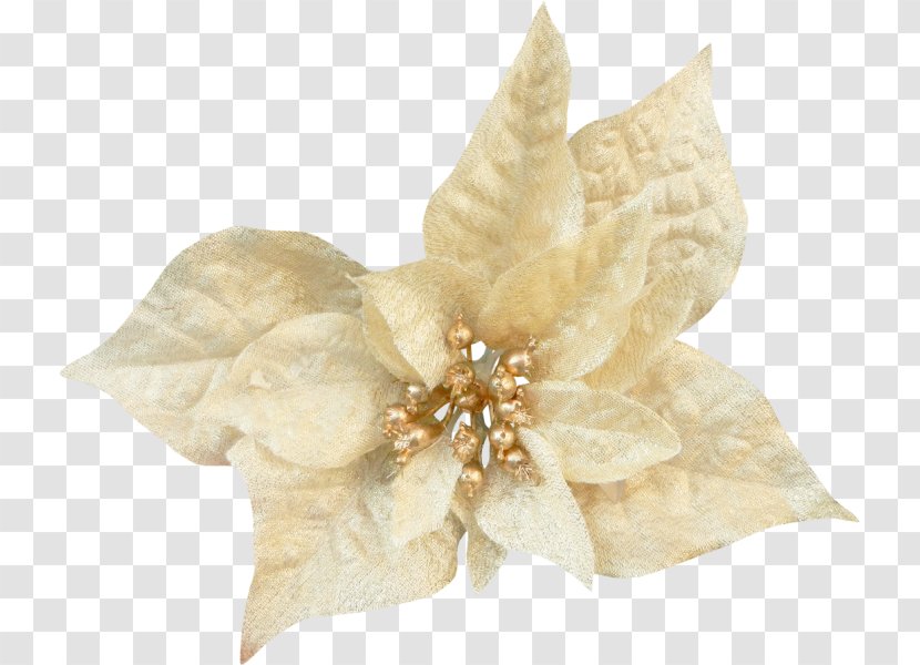 Hair Clothing Accessories - Beige Transparent PNG