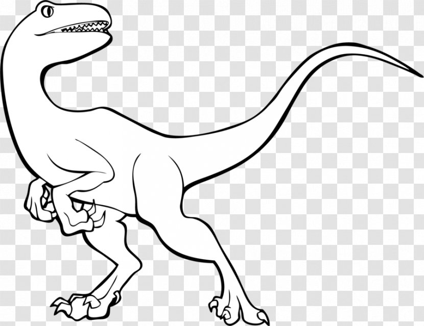 Tyrannosaurus Velociraptor Line Art Dinosaur Triceratops - Carnivoran - Vector Transparent PNG