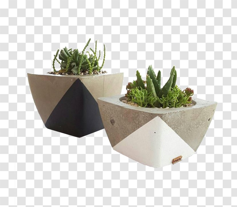 Flowerpot Herb Cactaceae Shop - Shopping Cart Transparent PNG