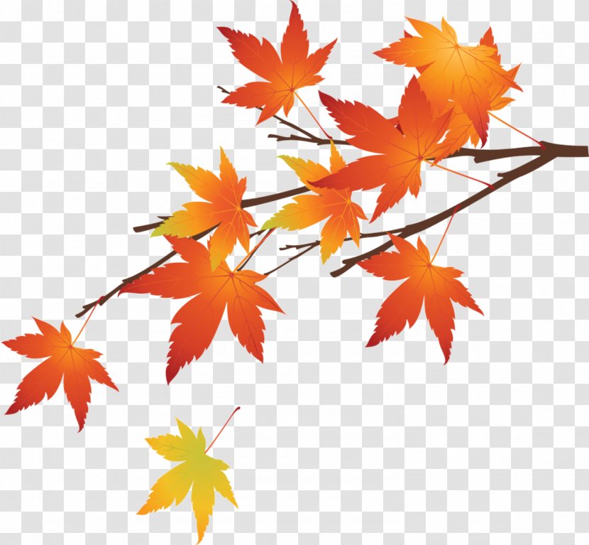 Maple Leaf Autumn - Hand Made Leaves 2 Transparent PNG