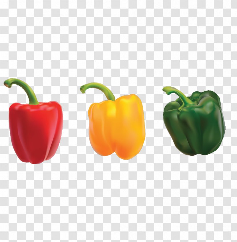 Bell Pepper Nigerian Cuisine Omelette Eating Chili - Capsicum - Cartoon Persimmon Transparent PNG