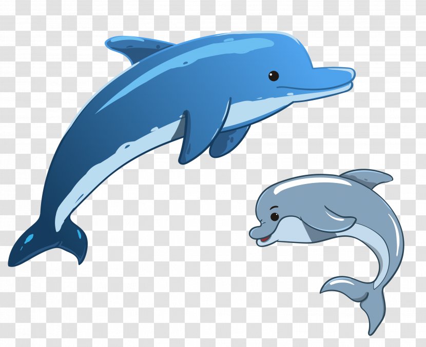 Vector Graphics Dolphin Stock Photography Image Illustration - Whales Dolphins And Porpoises Transparent PNG