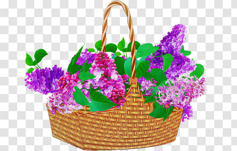 Flowerpot Flower Violet Plant Magenta Transparent PNG