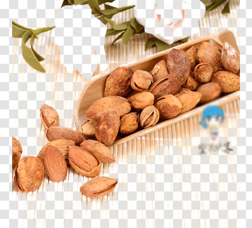 Nut Food Icon - Apricot - Almond Background Transparent PNG