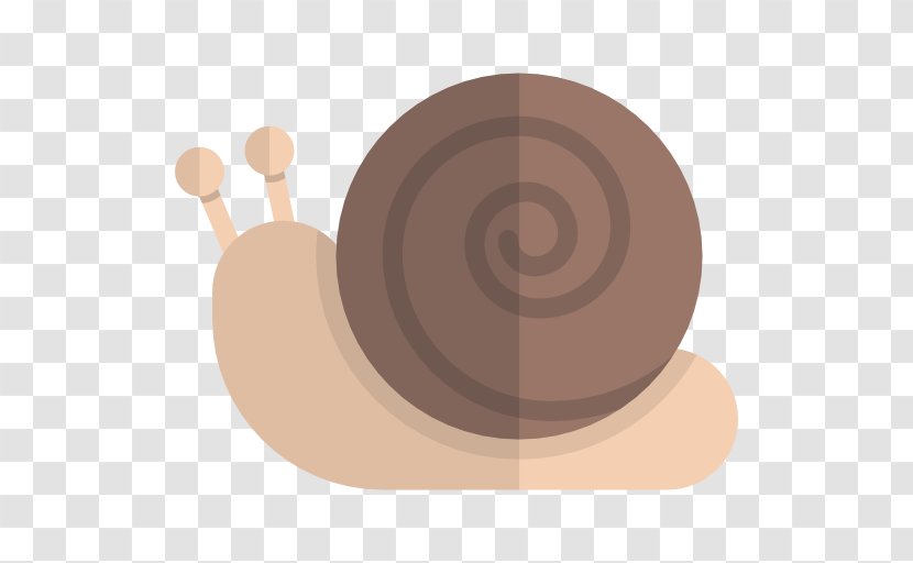 Snail Orthogastropoda - Cup - A Small Transparent PNG