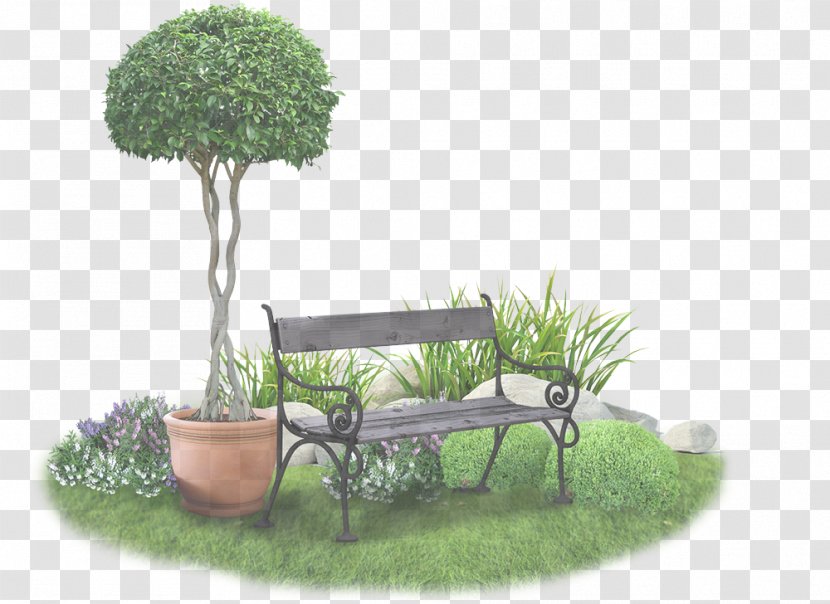 Flowerpot Tree Grass Houseplant Plant - Family - Shrub Transparent PNG