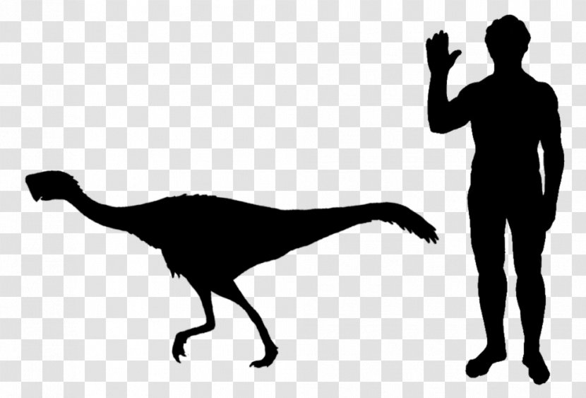 Staurikosaurus Thescelosaurus Velociraptor Microraptor Scansoriopteryx - Tail - Dinosaur Transparent PNG