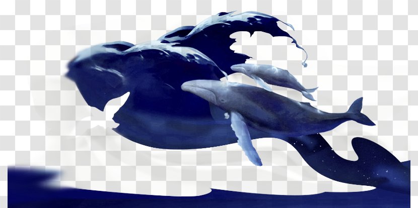 Download - Mammal - Watercolor Whale Transparent PNG