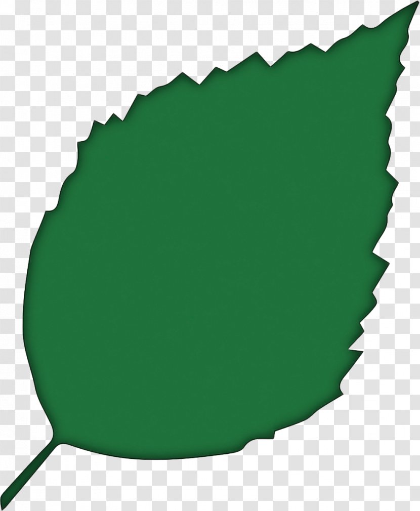 Green Leaf Clip Art Plant Logo - Bottle Cap Transparent PNG