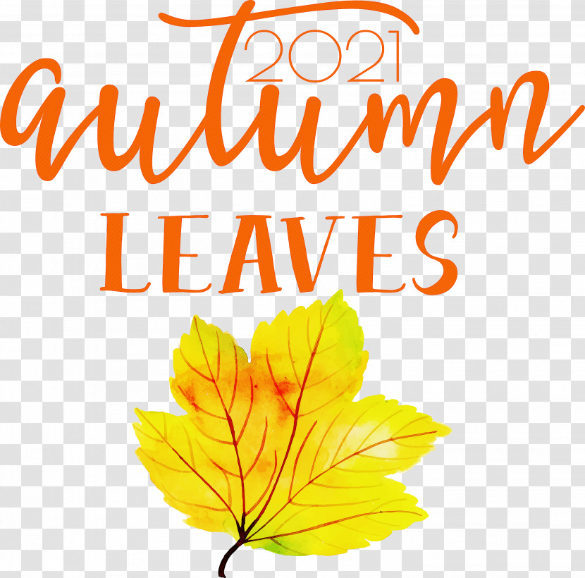 Autumn Leaves Autumn Fall Transparent PNG