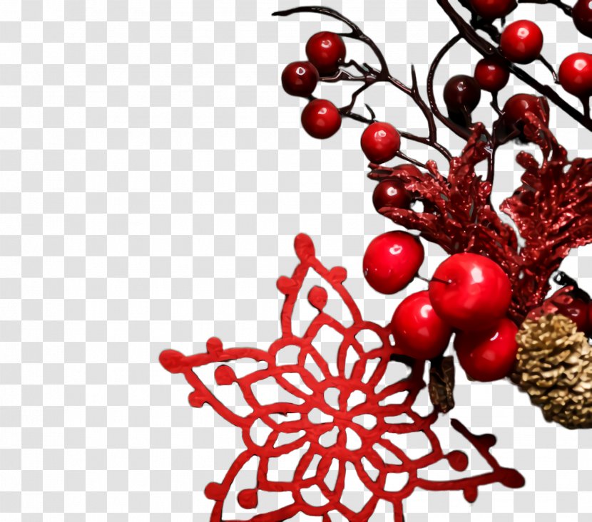 Christmas Decoration - Berry - Ilex Verticillataamerican Winterberry Transparent PNG