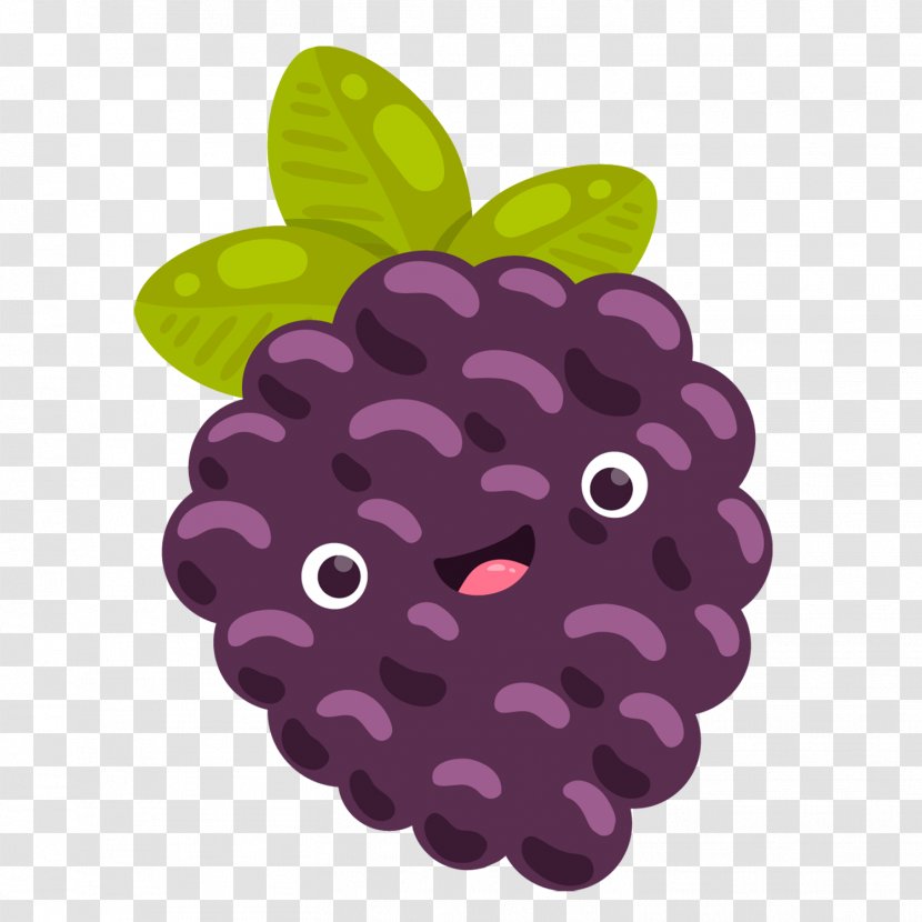 Grape Image Fruit Berries - Ingredient - Purple Grapes Transparent PNG