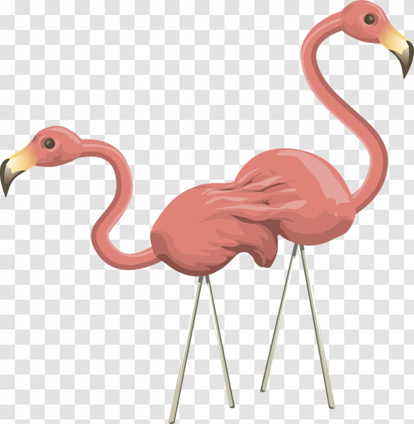 Flamingo Drawing Clip Art - Pink Ostrich Transparent PNG