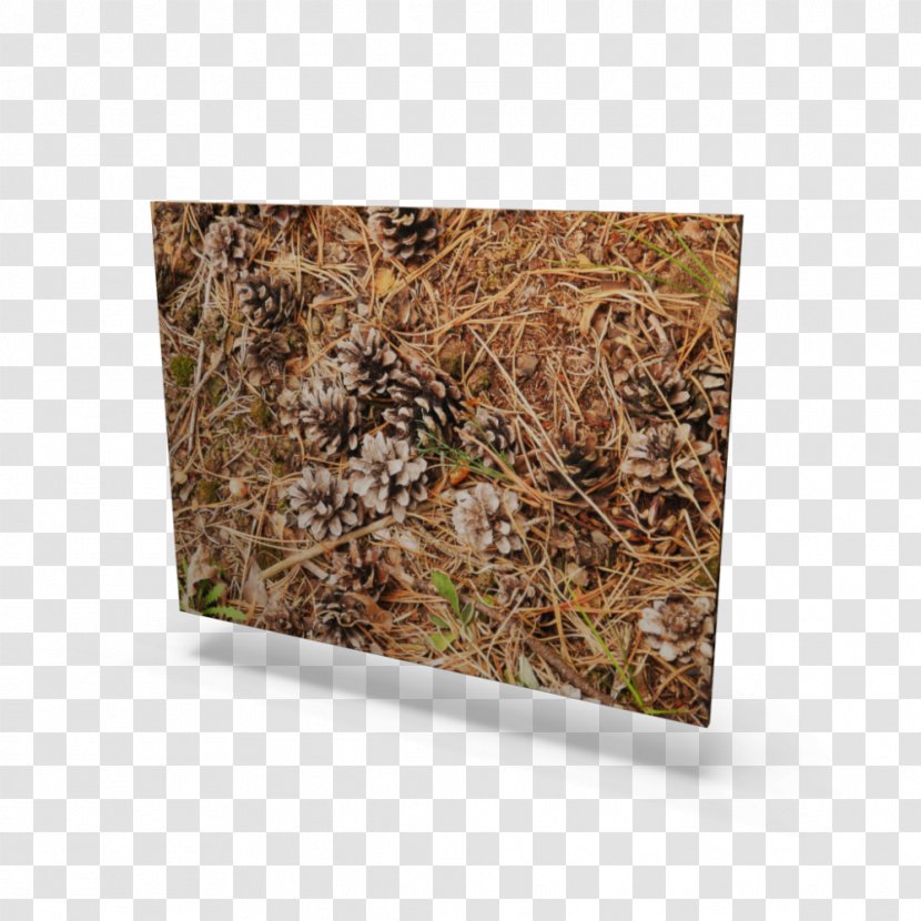 Wood /m/083vt Camouflage Brown Rectangle - Grass Transparent PNG