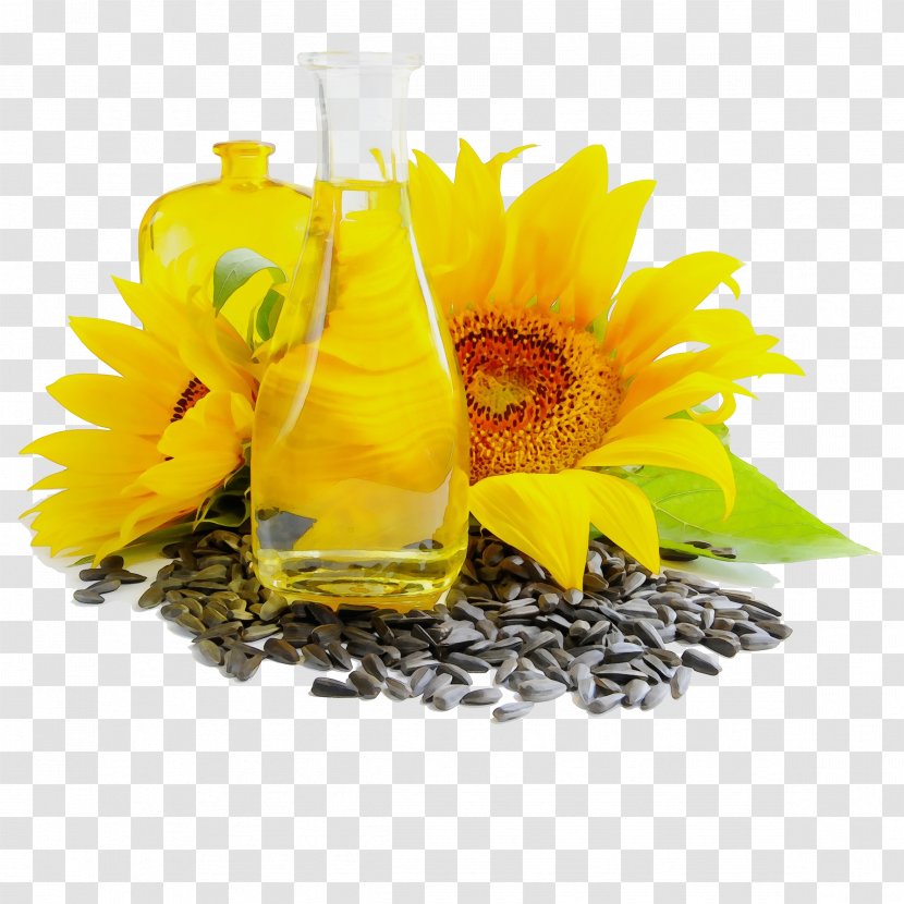 Sunflower - Vegetarian Food - Flowering Plant Transparent PNG