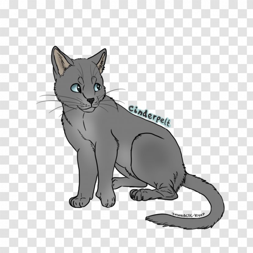Korat Whiskers Kitten Wildcat Domestic Short-haired Cat - Claw Transparent PNG