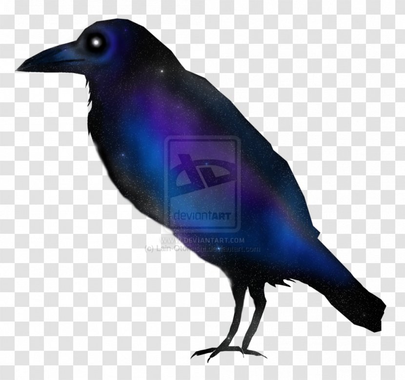 American Crow New Caledonian Cobalt Blue - Like Bird - Lain Transparent PNG