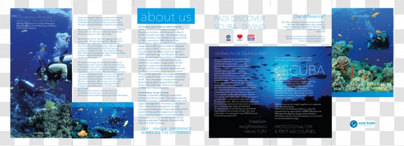 Graphic Design Advertising Organism Desktop Wallpaper Computer - World - Modern Brochure Transparent PNG
