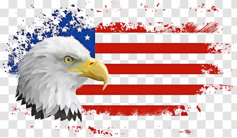 Veterans Day Independence - United States - Falconiformes Transparent PNG