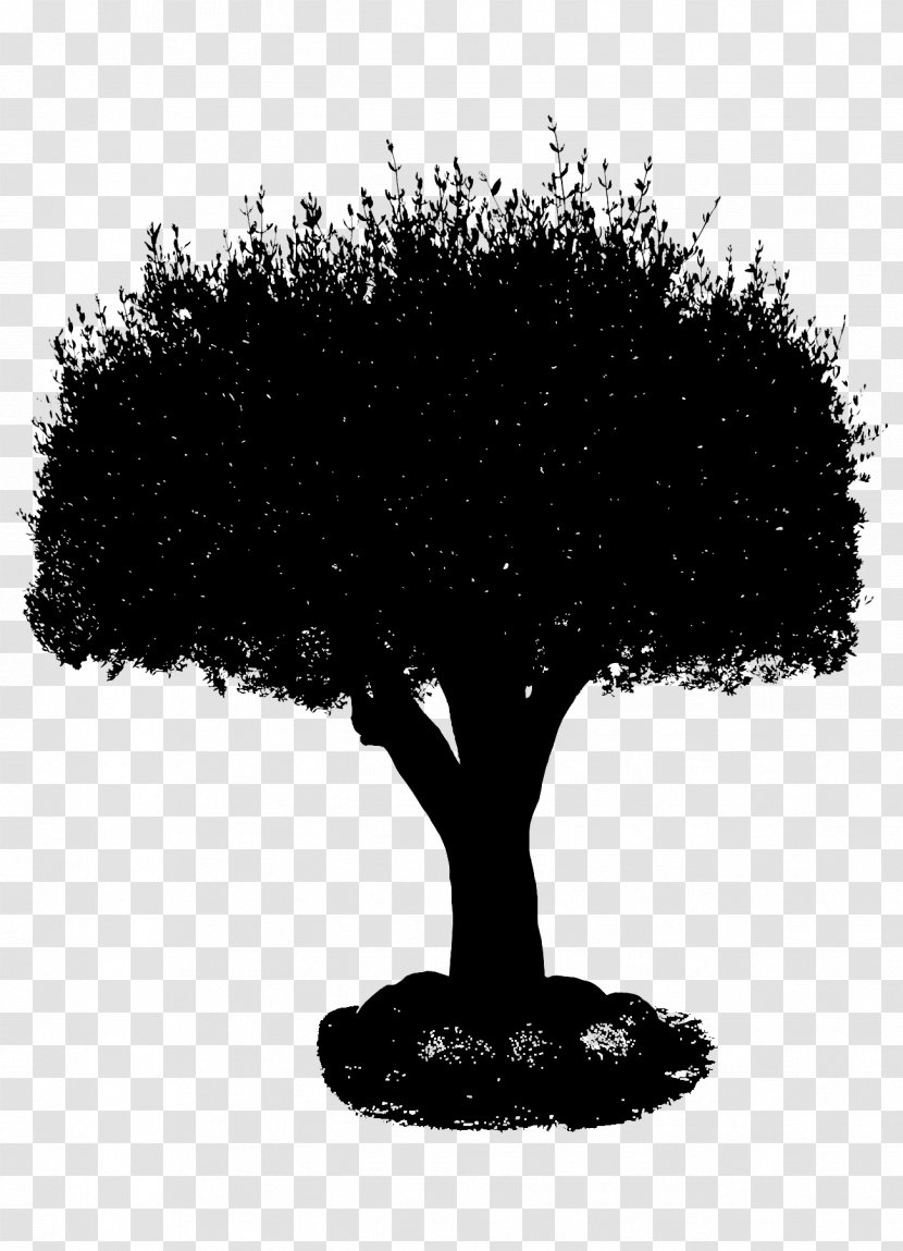 Silhouette - Tree Transparent PNG
