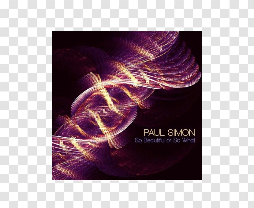 So Beautiful Or What The Essential Paul Simon Album Rewrite - Frame - Quantum Entanglement Transparent PNG