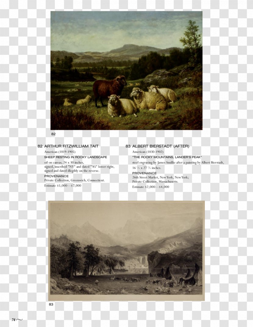 The Rocky Mountains, Lander's Peak Lander Landscape Ecoregion Advertising - Painting Transparent PNG