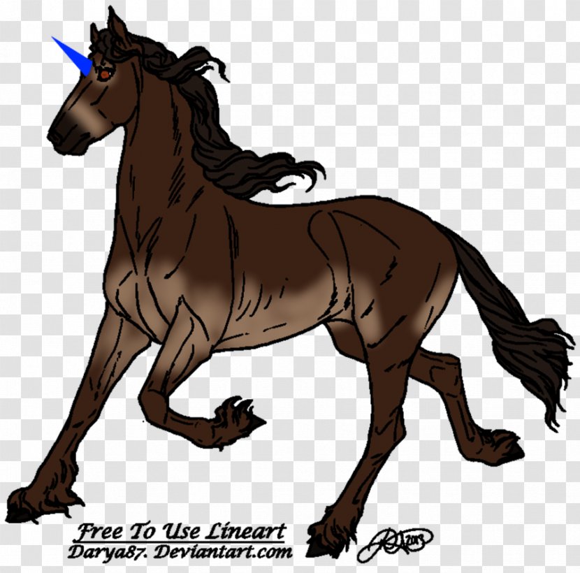 Mustang Pony Foal Stallion Mare - Horse Like Mammal - Tame Beast Belle Transparent PNG