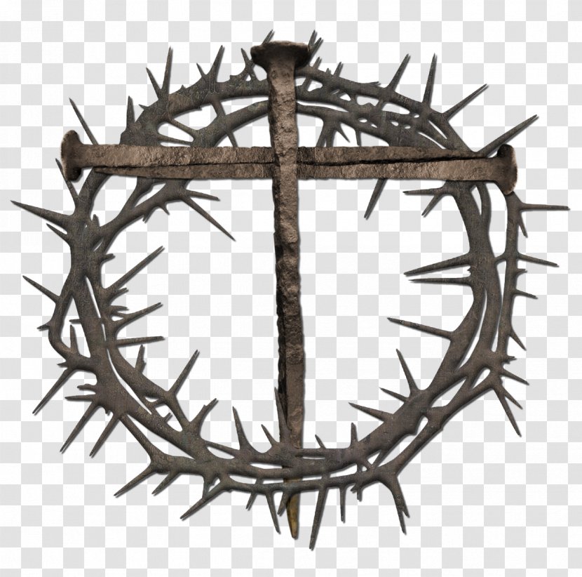 Crown Of Thorns Thorns, Spines, And Prickles Nail Cross Clip Art - Thorn Cliparts Transparent PNG