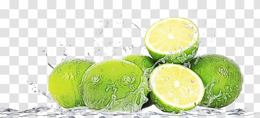 Key Lime Persian Citrus Fruit - Watercolor - Lemon Lemonlime Transparent PNG
