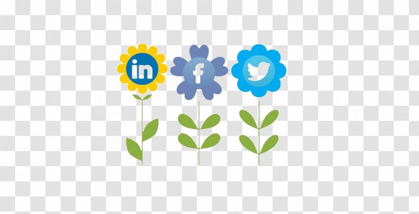 Social Media Marketing Blog Digital - Flowering Plant - Min Transparent PNG