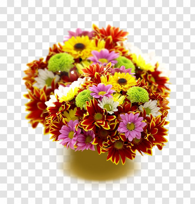 Flower Photography Love Wallpaper - Flowering Plant - Chrysanthemum Decoration Transparent PNG