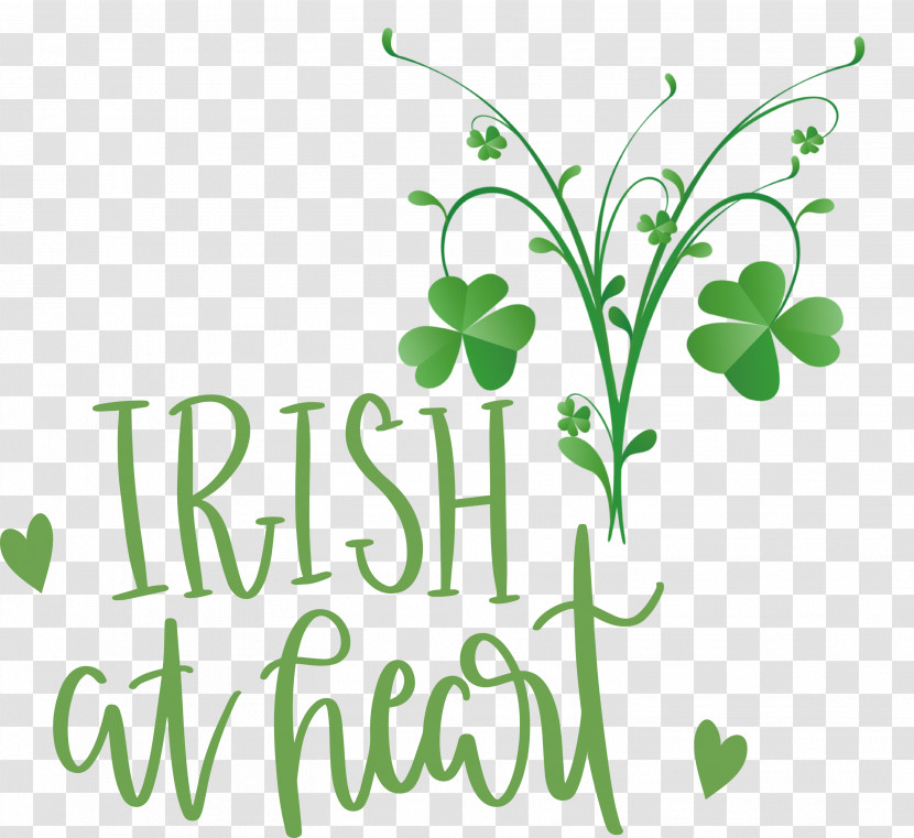 Shamrock Irish Saint Patrick Transparent PNG