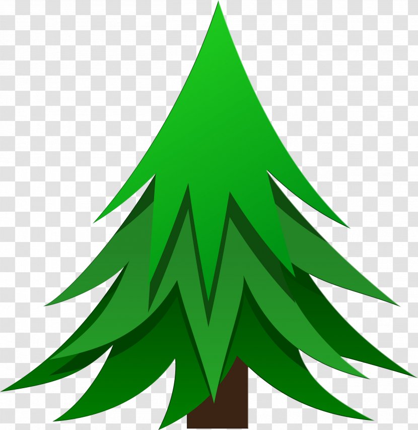 Plant Conifers Pine Fir Spruce - Christmas Tree Transparent PNG