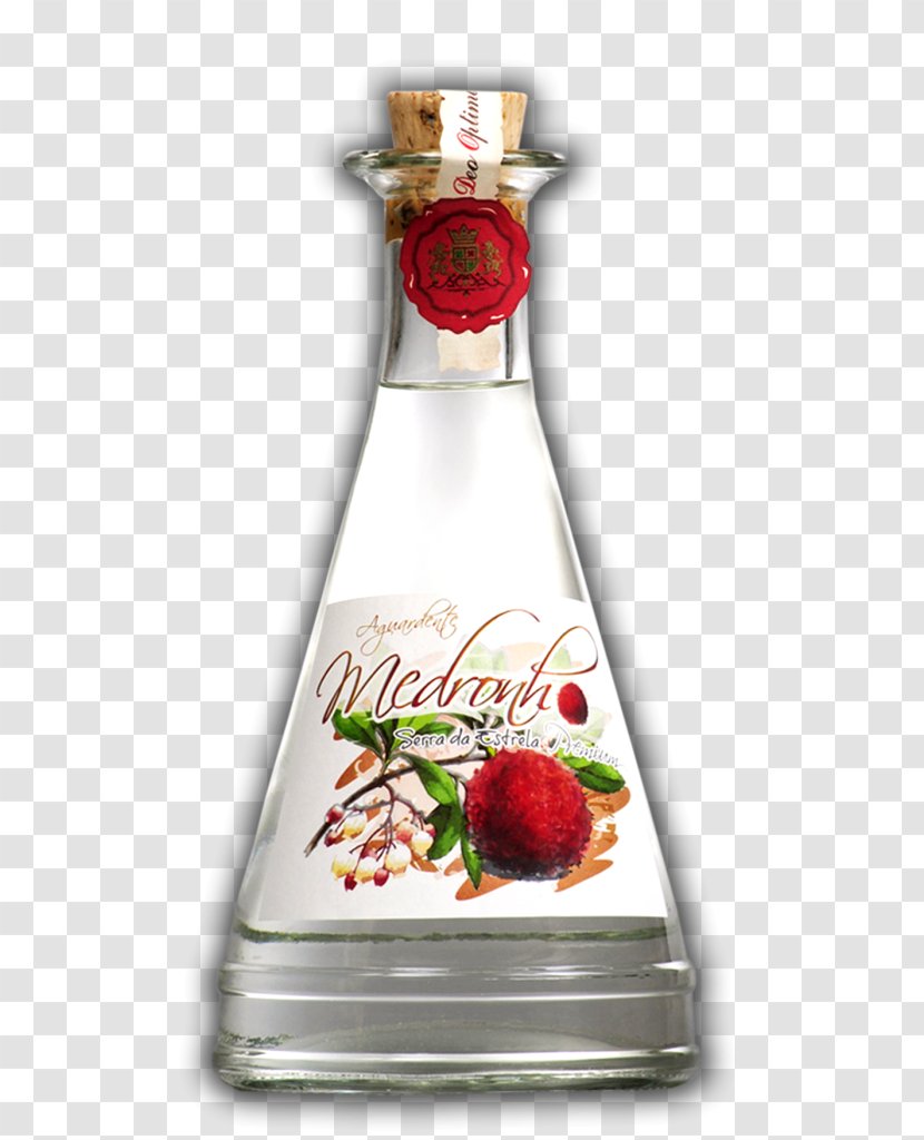 Liqueur Aguardiente Medronho Pomace Brandy Distilled Beverage - Gin - Wine Transparent PNG
