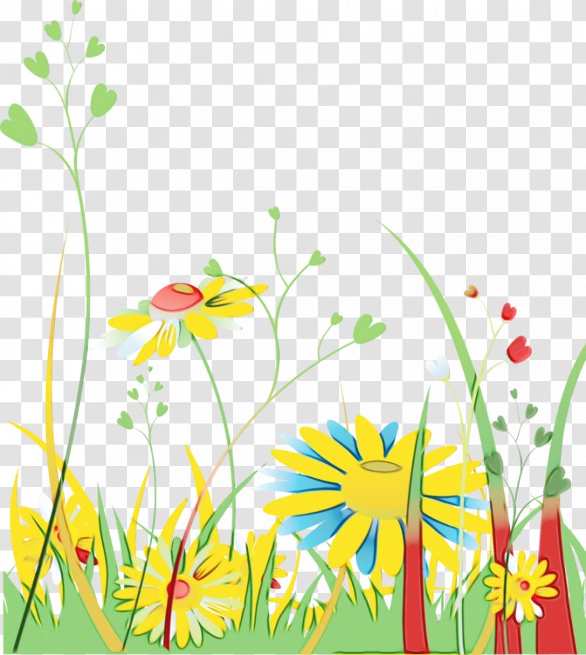 Watercolor Floral Background - Pedicel - Chamomile Transparent PNG